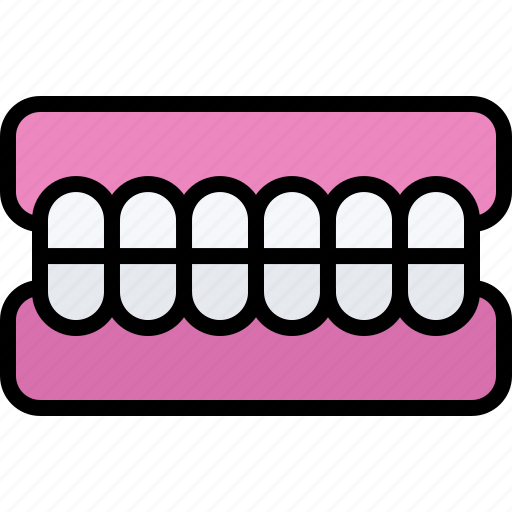 Dental, dentist, jaw, medicine, tooth icon - Download on Iconfinder
