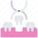 dental, dentist, forceps, medicine, pulling, removal, tooth