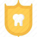 dental, dentist, medicine, protection, shield, tooth