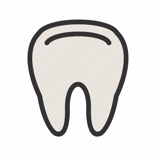 Care, clean, dental, dentist, teeth, tooth, white icon - Download on Iconfinder