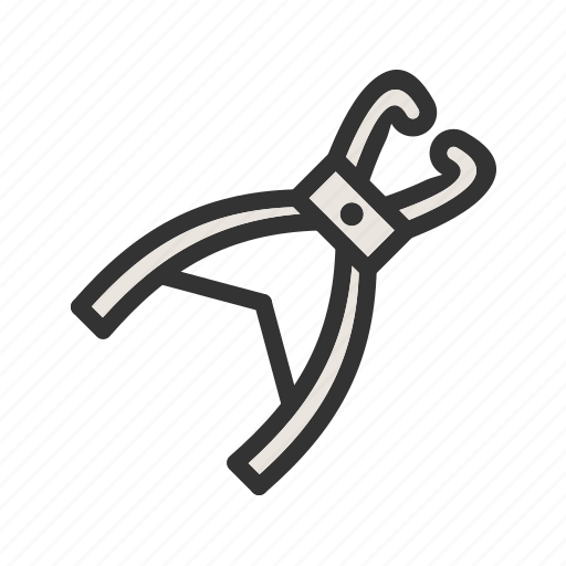 Care, cutting, dentist, equipment, health, rongeur, tooth icon - Download on Iconfinder