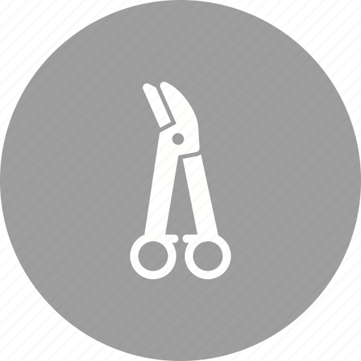 Equipment, forceps, hemostats, metal, steel, surgical, teeth icon - Download on Iconfinder
