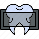 dental, x, ray, tooth, care, dentist, healthcare, icon