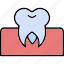 molar, gum, dental, tooth, hygiene, icon 