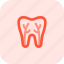 root, canal, medical 