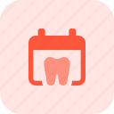 tooth, calendar, medical