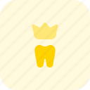 tooth, crown, medical, dental