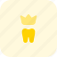tooth, crown, medical, dental 
