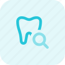 tooth, search, medical, find