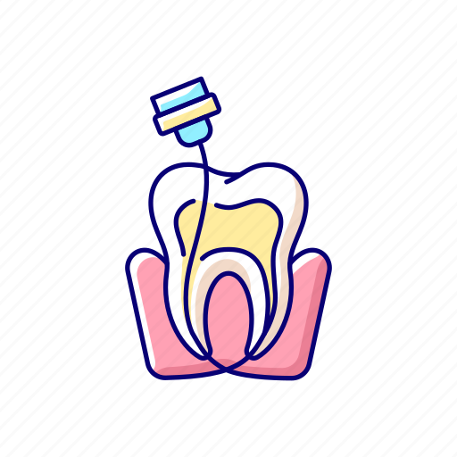 Tooth, anatomy, toothache, dentistry icon - Download on Iconfinder