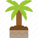 yucca, houseplant, mexican, tropical, palm, gluten, icon