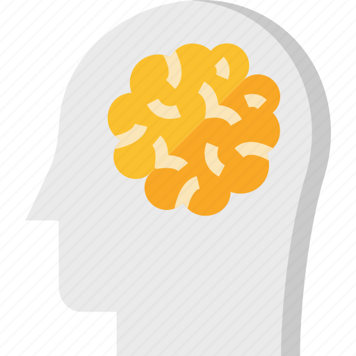 Brain, developing, development, head, thinking icon - Download on Iconfinder
