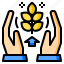 growth, hand, plant, up, finger 