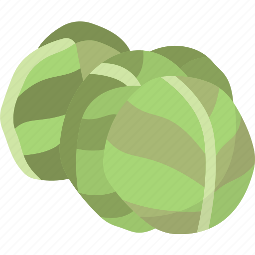 Brussel, sprouts, ingredient, antioxidant, culinary icon - Download on Iconfinder