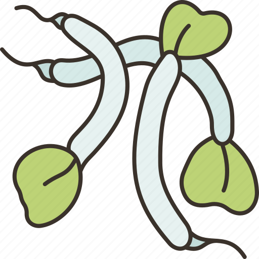Alfalfa, sprouts, diet, fiber, healthy icon - Download on Iconfinder