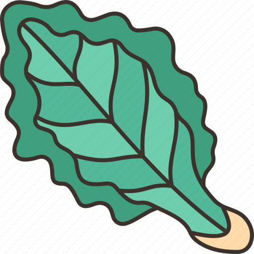Kale, leaf, vegetable, vitamin, healthy icon - Download on Iconfinder