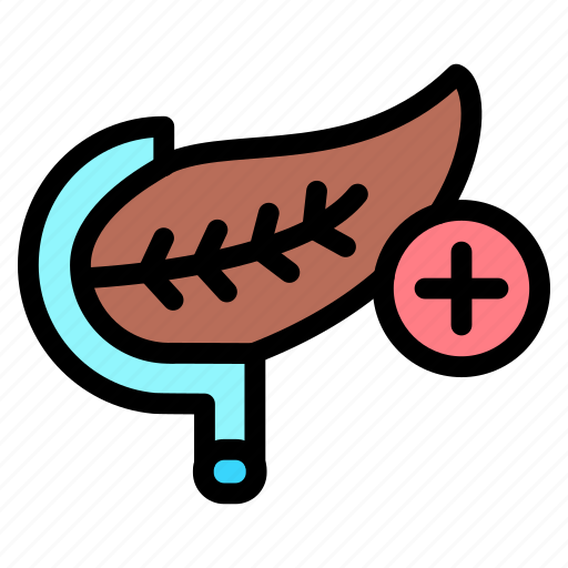 Pancreas, medical, anatomy, organ, human, body icon - Download on Iconfinder