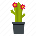 bloom, blooming, blossom, cactus, flower, plant, succulent