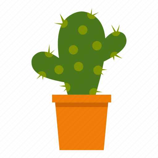 Cacti, cactus, desert, mexican, nature, plant, succulent icon - Download on Iconfinder