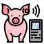 livestock, tracking, iot, pig, monitoring, identification, technology, animal id, smartphone 