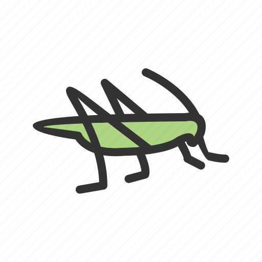 Grasshopper, head, infestation, insect, locust, pest, thorax icon - Download on Iconfinder