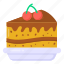 cake, cream cake, birthday cake, cake slice, pastry 
