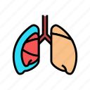 pneumothorax, colitis, organ, disease, human
