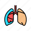 pneumothorax, colitis, organ, disease, human 