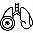 bronchitis, lungs, organ