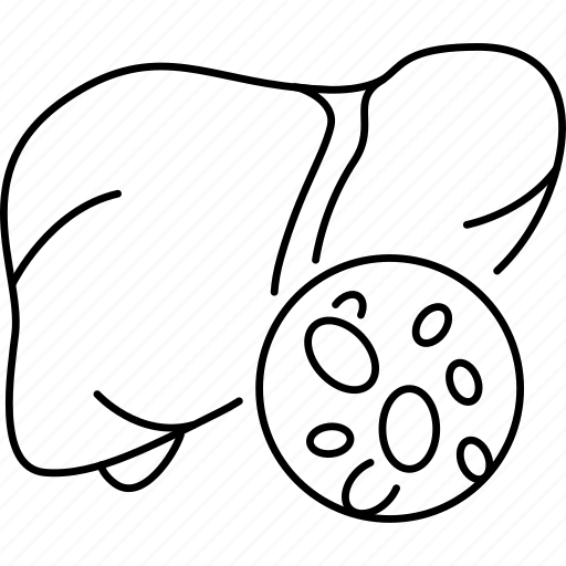 Liver, organ, fatty, dystrophy icon - Download on Iconfinder