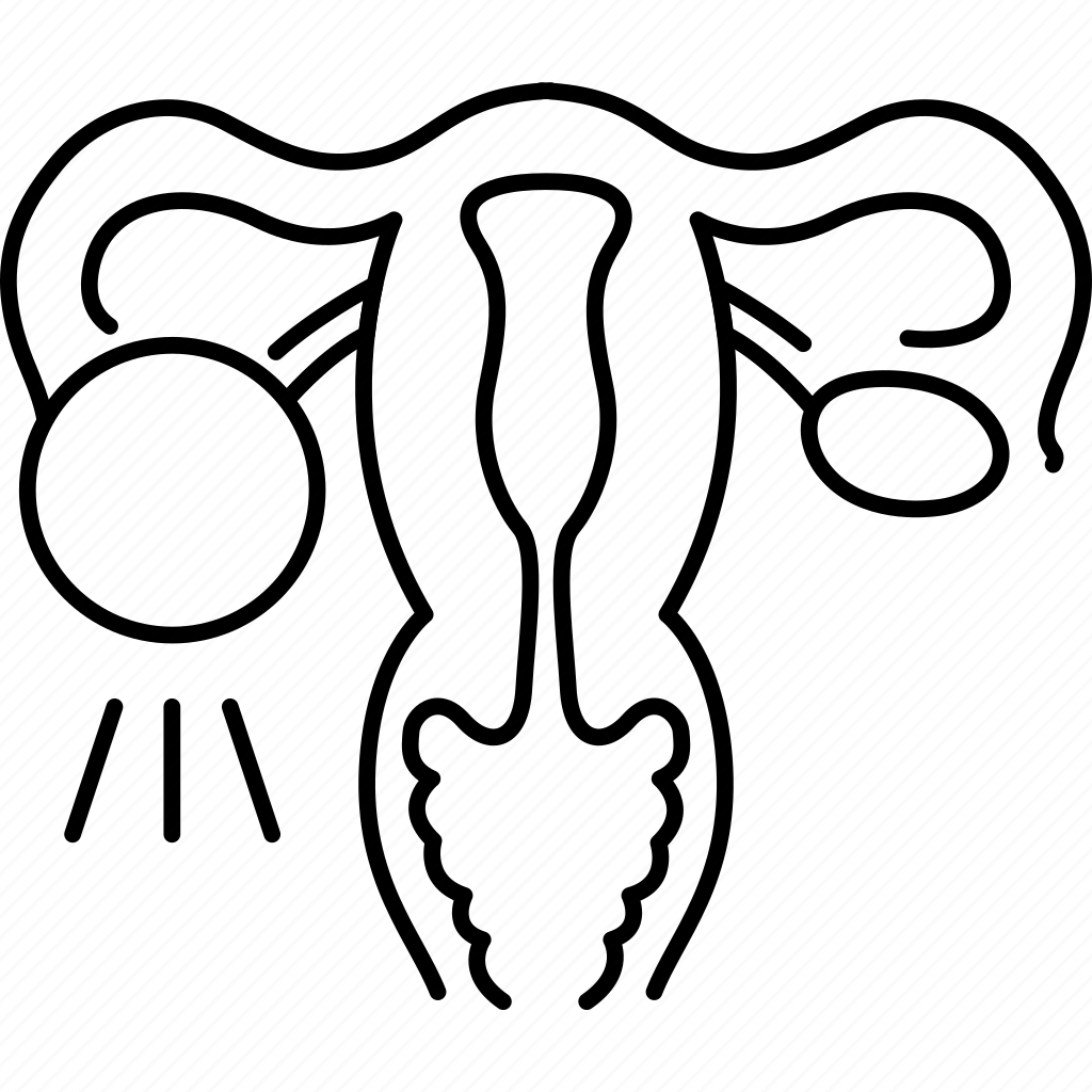 Pcos, uterus, reproductive, system, female icon - Download on Iconfinder