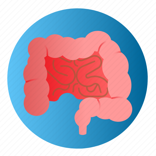 Diseases, intestines, stomachache, treatment icon - Download on Iconfinder