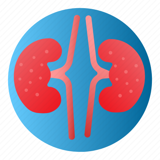 Diseases, kidney, kidney failure, kidney stones, treatment icon - Download on Iconfinder