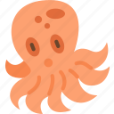 octopus, cephalopod, tentacle, marine, aquarium