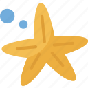 starfish, mollusk, beach, coral, aquarium