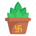 holy plant, succulent pot, cactus, potted plant, planter 