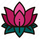 lotus, flower, meditation, wellness, yoga, mindfulness, nature