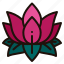 lotus, flower, meditation, wellness, yoga, mindfulness, nature 