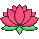 lotus, flower, diwali, hinduism, religion, wellness