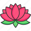 lotus, flower, diwali, hinduism, religion, wellness 
