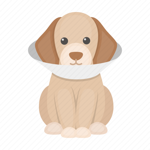 Collar, dog, pet, puppy icon - Download on Iconfinder