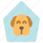 home, shelter, puppy, face, house, dog, animal, mammal, pet 