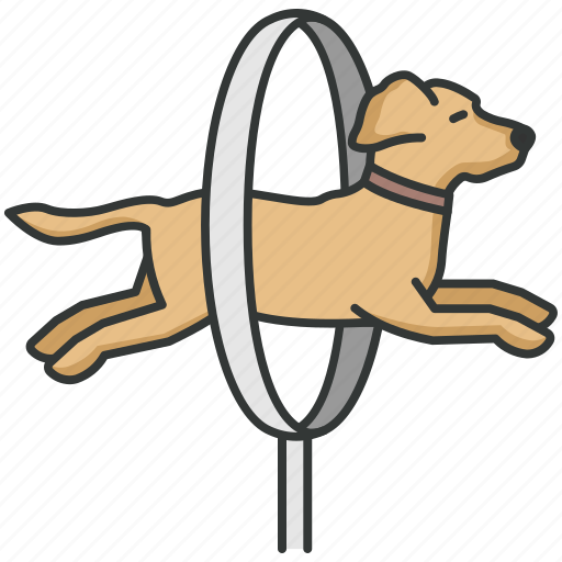 Training, jumping, learning, dog training icon - Download on Iconfinder