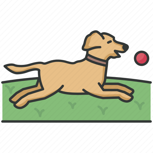 Activities, dog training, training, ball, catching icon - Download on Iconfinder