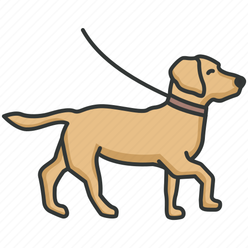 Dog, walk, dog walking, pet, labrador icon - Download on Iconfinder
