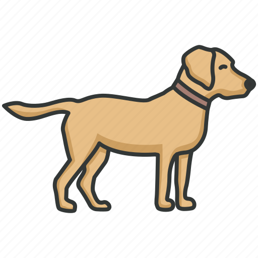 Labrador, labrador retriever, retriever, puppy, dog, pet, domestic icon - Download on Iconfinder