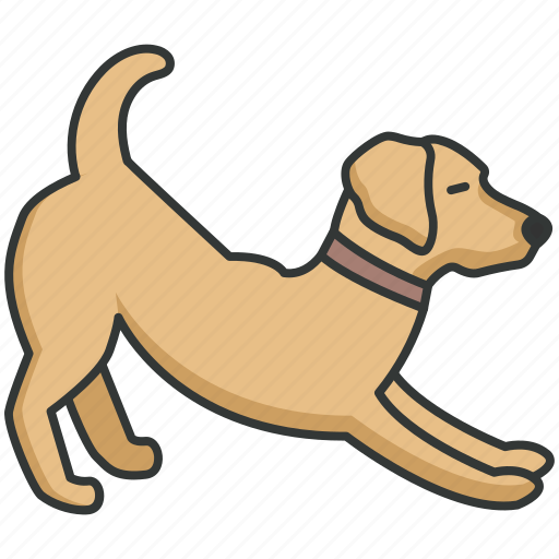 Pet, dog, domestic, labrador icon - Download on Iconfinder