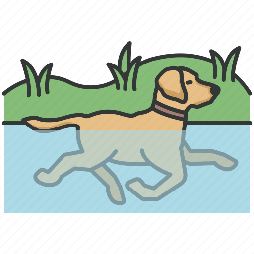Swimming, bathing, swim, pool, dog training, training icon - Download on Iconfinder