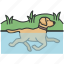 swimming, bathing, swim, pool, dog training, training 