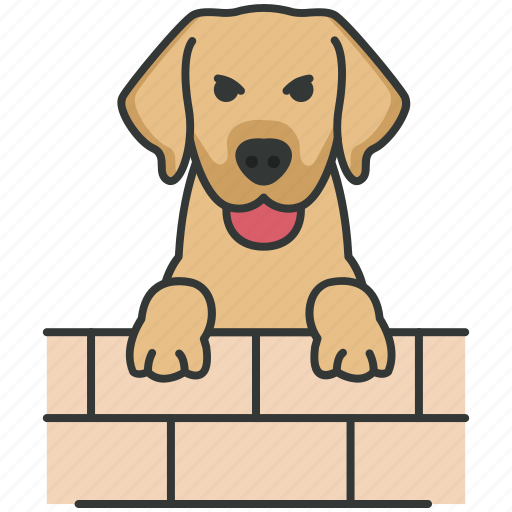 Pet, jumping, wall, domestic, dog icon - Download on Iconfinder